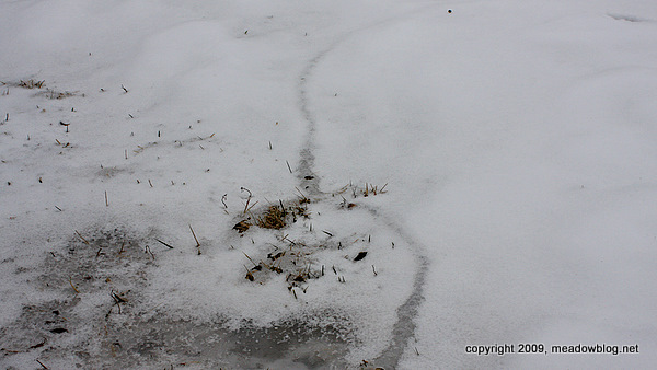 Small rodent snow burrow