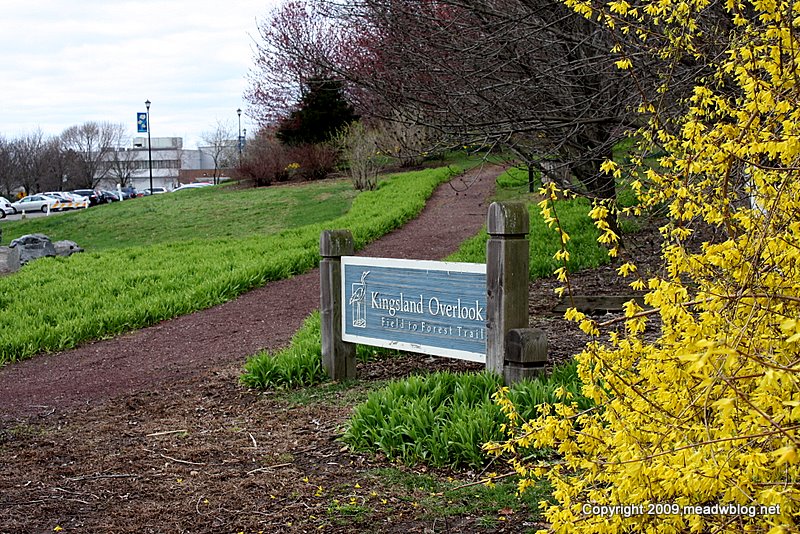 Kingsland overlook