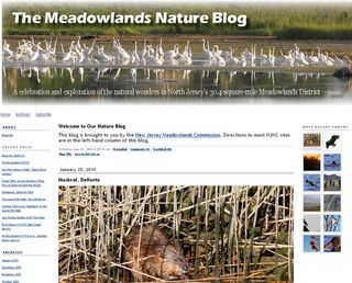 Meadowblog_capture