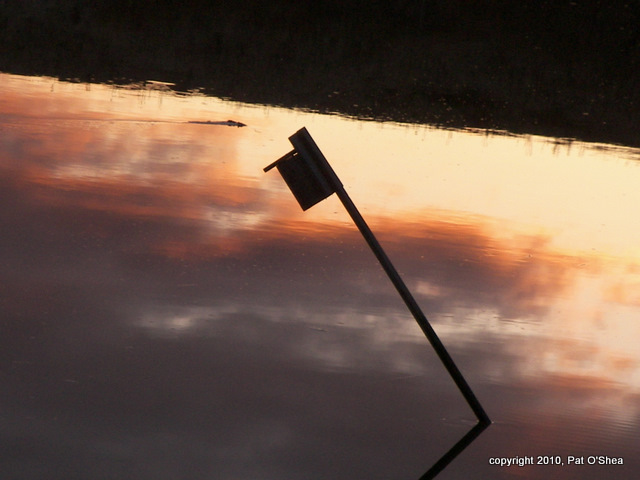 Swallow box at sunset west of beg. of SMT 011810 DP