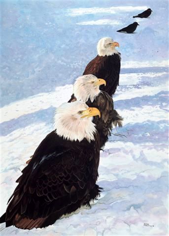 Eagles 002