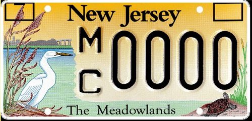 Mct license plate -1