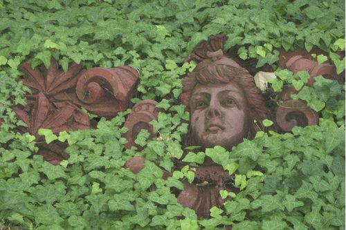 Ivy statue face - Chris Peters