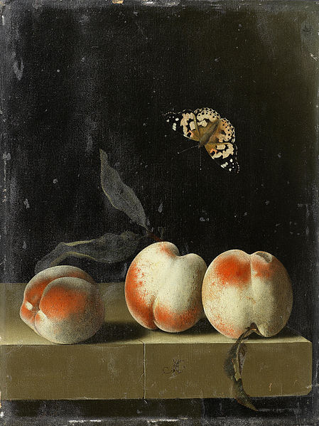 449px-Adriaen_Coorte_-_Three_peaches_on_a_stone_ledge_with_a_Painted_Lady_butterfly