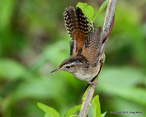 3-7224855852_89c9b28cf5_b