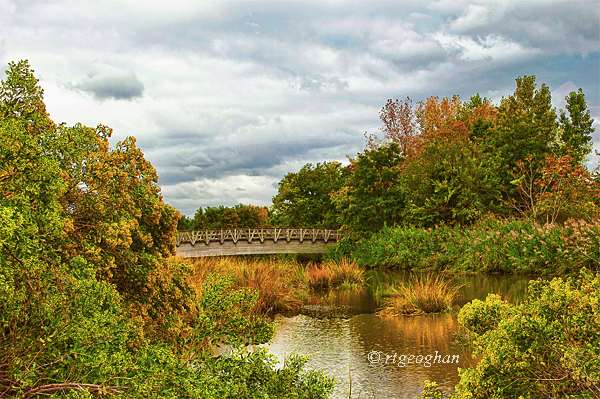 Sept 20_Mill Creek Marsh_Regina Geoghan_0362