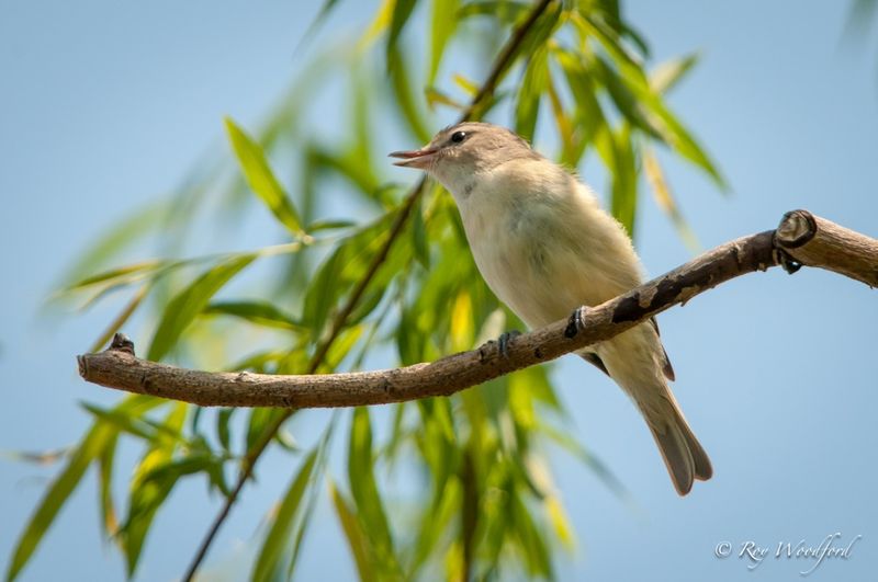 20130609-DSC_1325