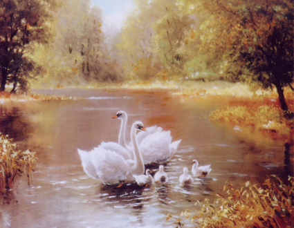 Swan_family