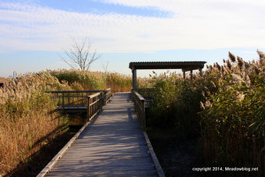 Marsh Discovery Trail