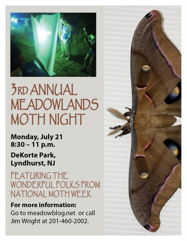 2014 moth night flyer