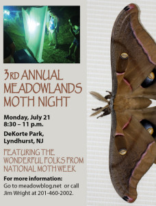 2014 moth night flyer