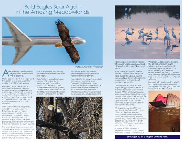 Article On Bald Eagle E-book | The Meadowlands Nature Blog