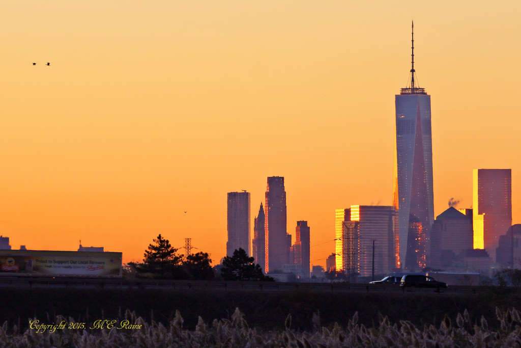 067 V Sunrise 001bf RchrdDKorte Park Mdwlnds NJ NYC n Freedom Tower Vw 101915 OK FLICKR