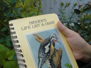 birders list (2)