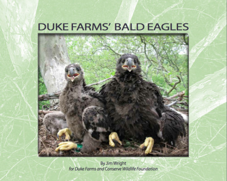 df-eagle-e-book