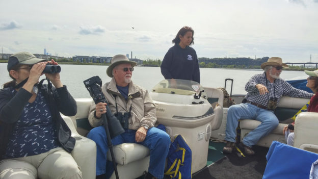 Birding By Boat Recap | The Meadowlands Nature Blog