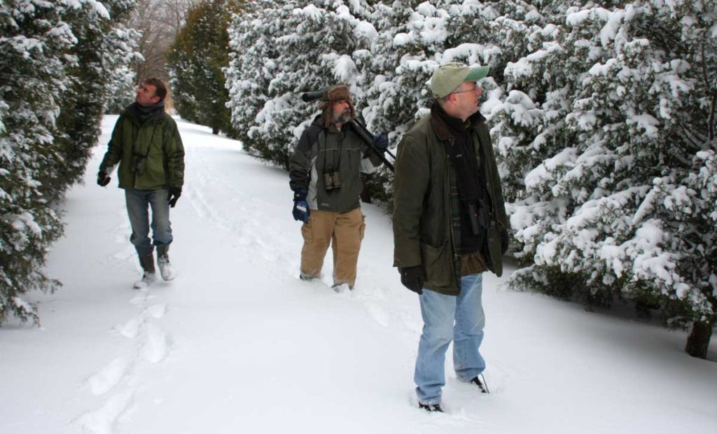 Don Torino’s Life In The Meadowlands: Rain, Sleet Or Snow, It’s Good To ...