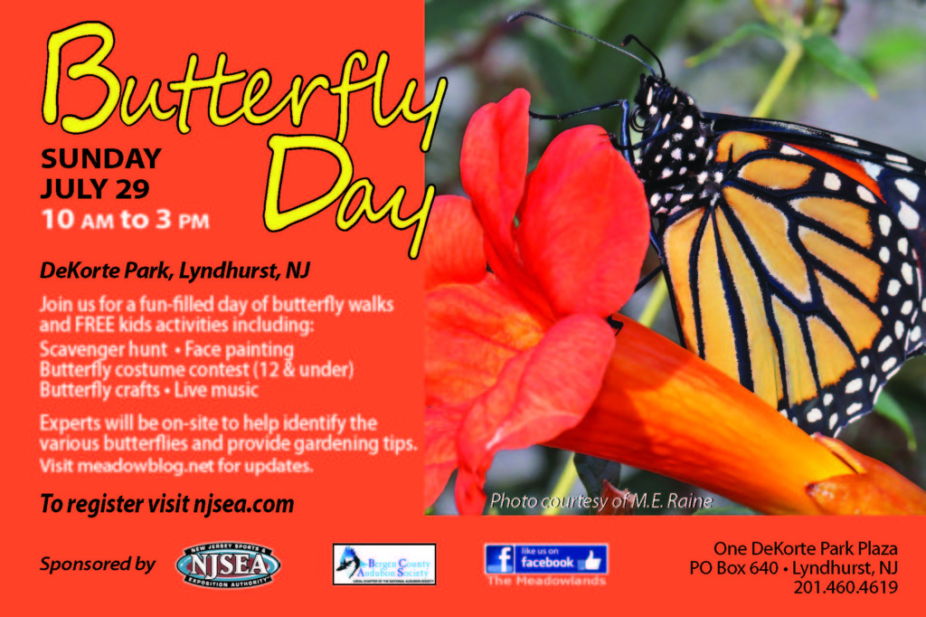 Butterfly Day This Sunday (July 29)!!! The Meadowlands Nature Blog