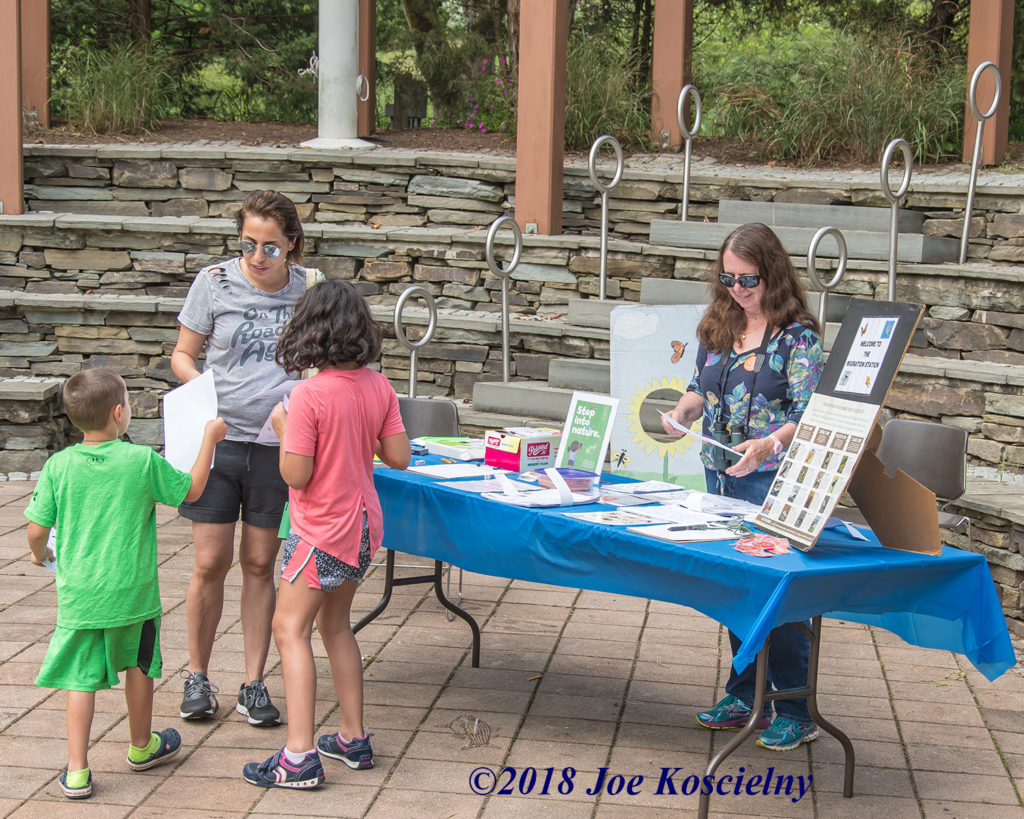 Meadowlands Birding Festival A Great Success! | The Meadowlands Nature Blog