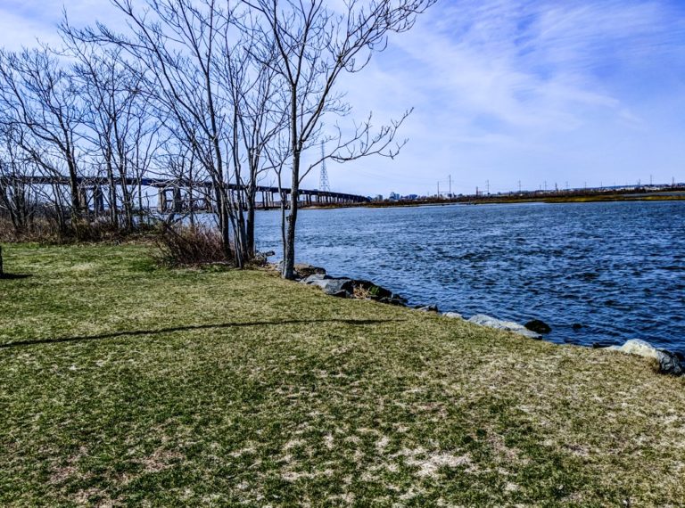 Scenes from Laurel Hill The Meadowlands Nature Blog