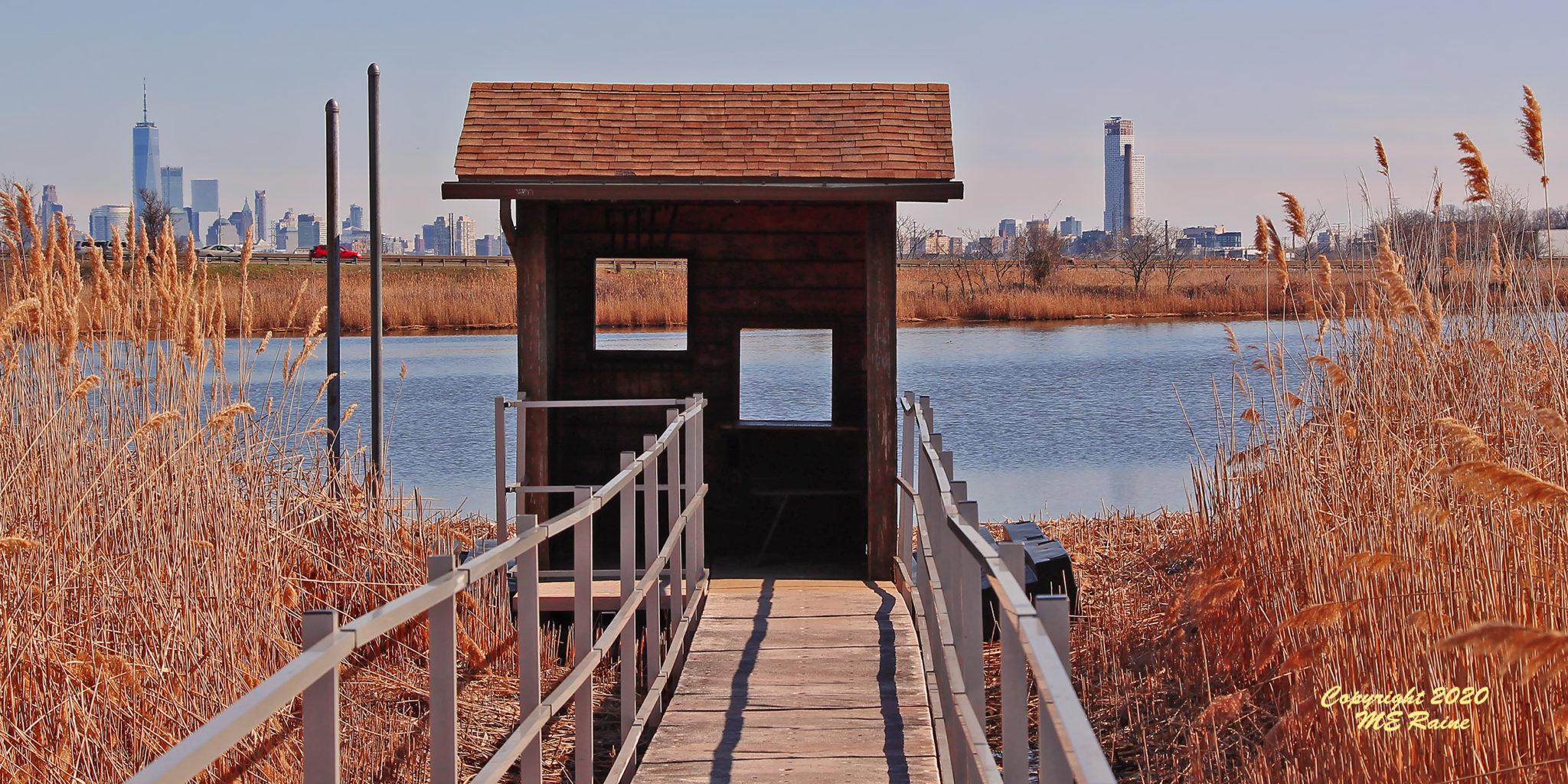 DeKorte Park's Beauty Is A Constant | The Meadowlands Nature Blog