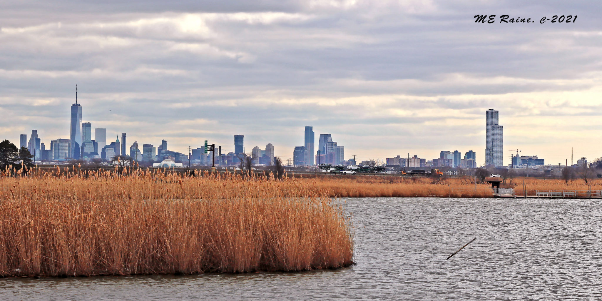 Jersey City As Seen From DeKorte Park | The Meadowlands Nature Blog