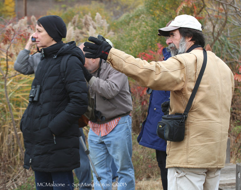 Don Torino’s Life In The Meadowlands: Birding And Time | The ...