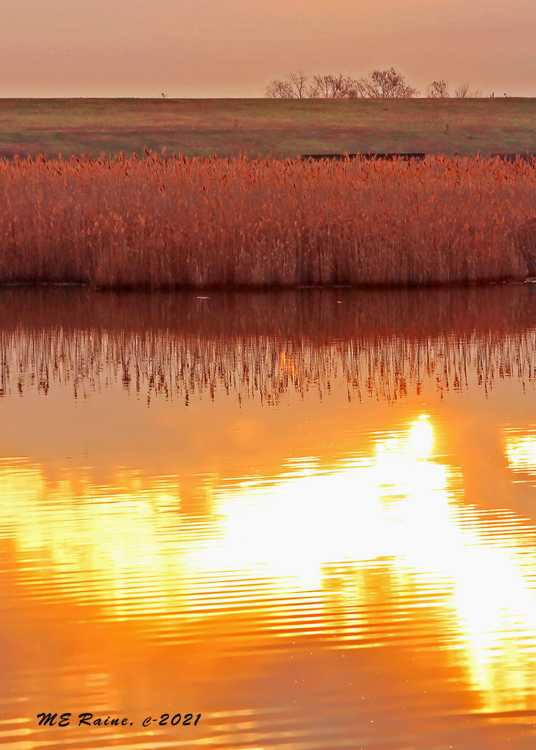 Rise And Shine At DeKorte Park | The Meadowlands Nature Blog