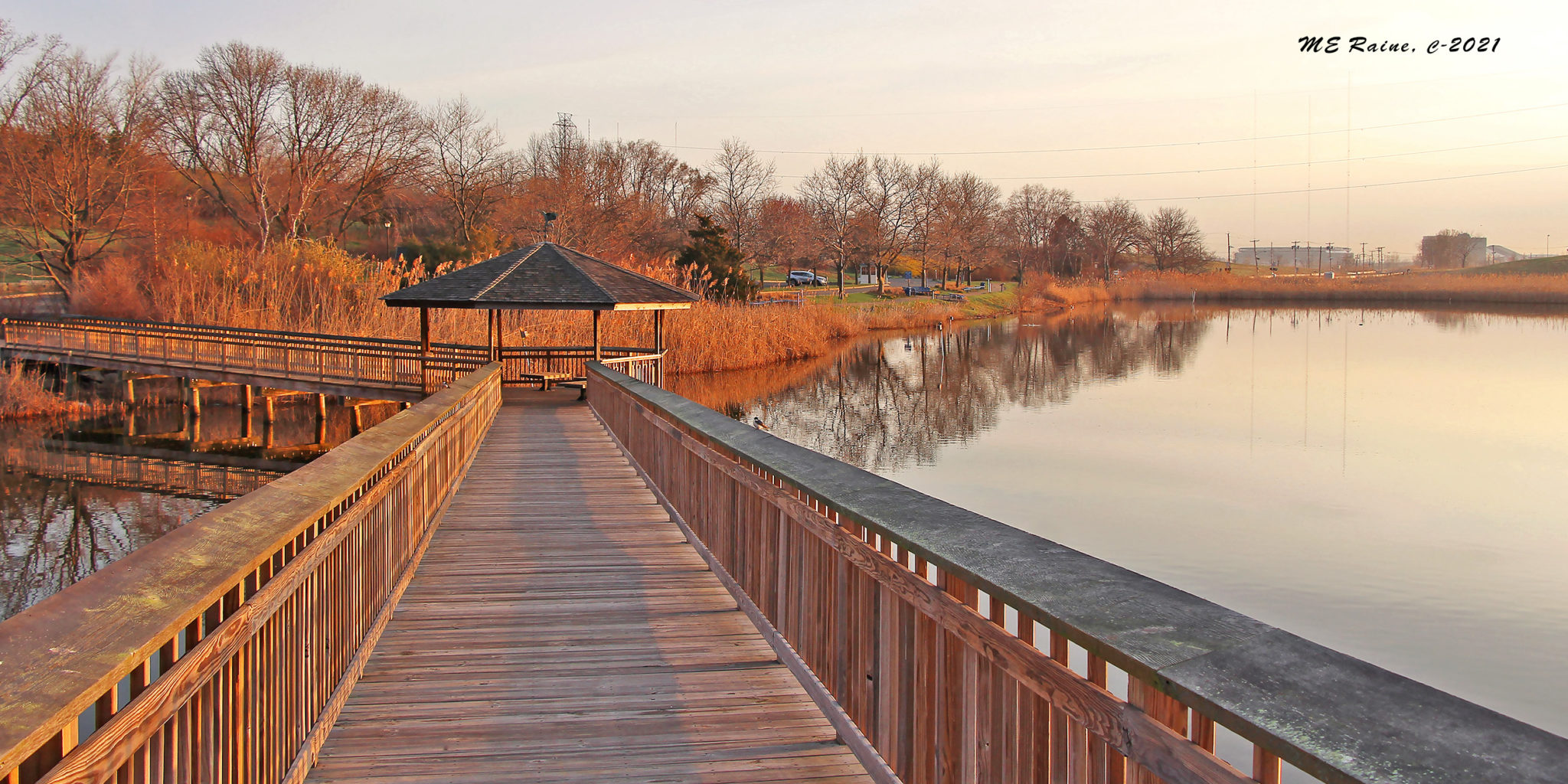 Rise And Shine At DeKorte Park | The Meadowlands Nature Blog